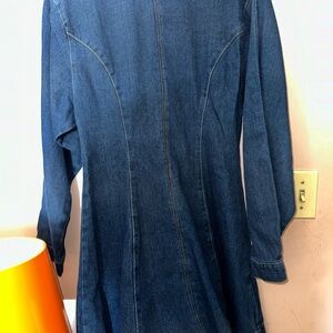 Denim Long-Sleeve Dress